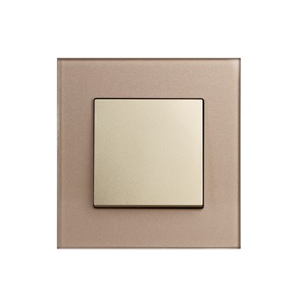 1 Gang 2 Way Switch Gold Temp Glass