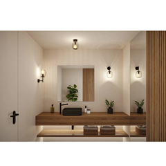 Bathroom Wall Light 20W Dimmable Glass/Black Matt