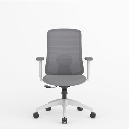 Office Chair Ergonomic Lumbar Support