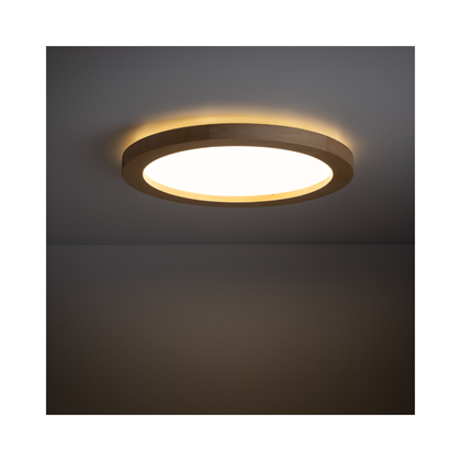 Wood Beech LED Ceiling and Wall Lamp