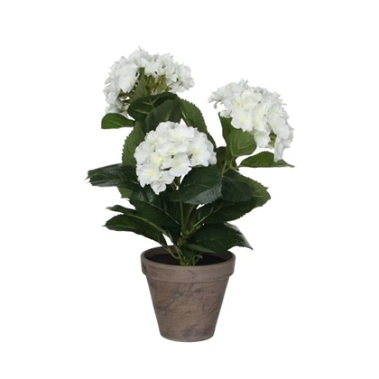 Hydrangea White Pot Grey 13.5x40x35cm