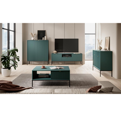 TV Unit – 2 Doors 1 Drawer – Green