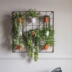 Wall Planter x9 Pots - 90x15x90cm