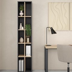 Sign Bookcase with divider