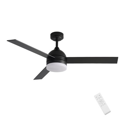 Matte Black Decorative Ceiling Fan