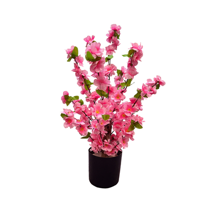 Peach Blossom Tree