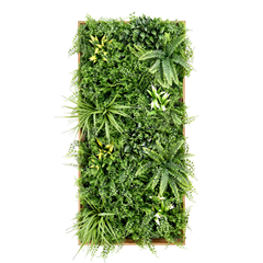 Wall Art Frame-Dense Fern