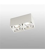 Tecto White Ceiling Lamp 2 x AR111 50W