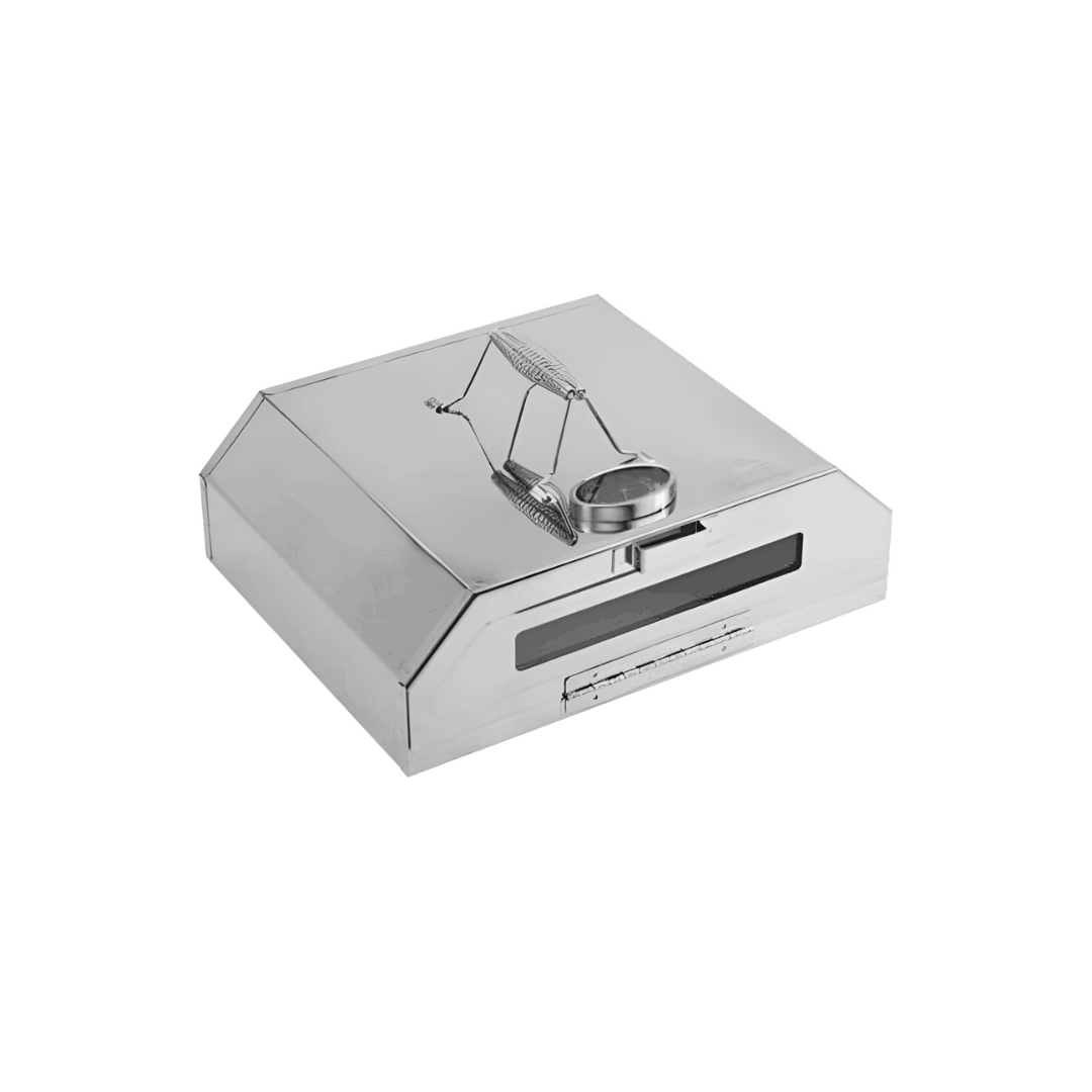 Mini Pizza Oven In Stainless Steel