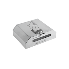 Mini Pizza Oven In Stainless Steel