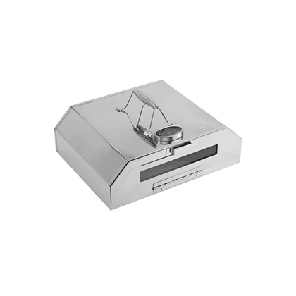 Mini Pizza Oven In Stainless Steel