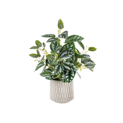 Artificial Green Leaf Plant 12x12x38cm