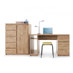 Sideboard 1Door 5 Shelves – Golden Ribbeck Oak