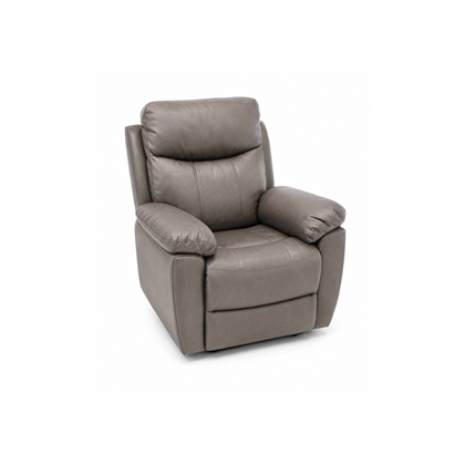 Dual Motor Electric Power Lift Recliner –Dark Grey