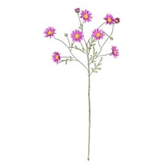 Daisy Light Lavender 60Cm