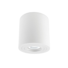 Waterproof Downlight For Surface Mounting White