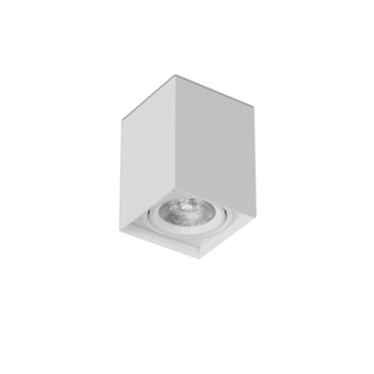 Eris 2 LED 19W Neutral with Dimmer - White