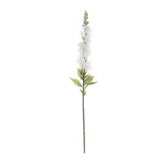 Snapdragon Stem White 68Cm