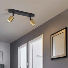 Black & Gold Double Spotlight