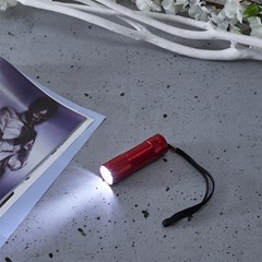 Mini 9 Led Aluminium Flashlight Red