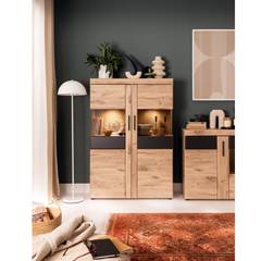 2 Doors Cabinet - Viking Oak/Grey Cosmos