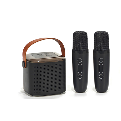 Mini Karaoke DLX416 – 2 Mic & Light Black