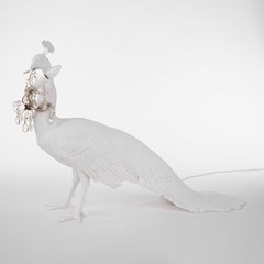 Peacock Lamp