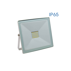 LED Floodlight 30W 4000K White