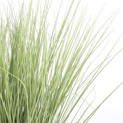 Grass Artificial Plant H50 X 40 CM  Green
