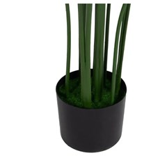 Plant Strelitzia Green 150Cm