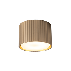 Downlight – Champagne