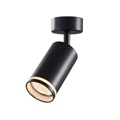 King Single Black Spotlight