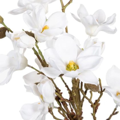 Magnolia White Plant 30 x 30 x 30cm