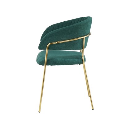 Green and Golden Chair