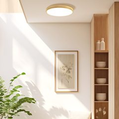 LED ceiling lighting fixture