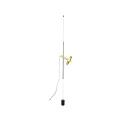 Pendant/Floor Lamp - Satin Gold & Black