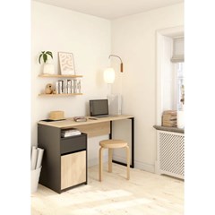 Function Plus Desk with 1 door 1 drawer