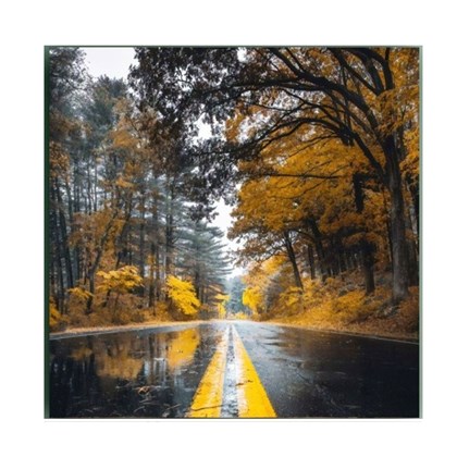 Autumn Wall Art Print 500x500mm