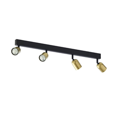 Black & Gold Quad Spotlight