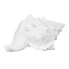 Seashell Figure White Resin Deco 21x14x12 cm