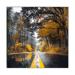 Autumn Wall Art Print 500x500mm