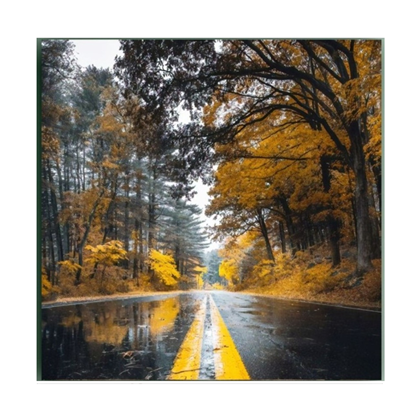 Autumn Wall Art Print 500x500mm