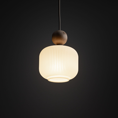 Hanging Lamp – 1XE14