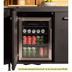 Outdoor Fridge 60 L Steel Frame & Glass