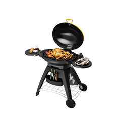 Big Bugg Amber Trolley