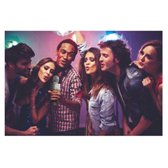 Karaoke Microphone Speaker – Silver