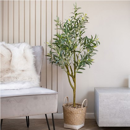 Tree Olive-Tree Green 180cm