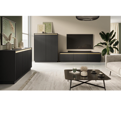 TV Cabinet Black 3Doors