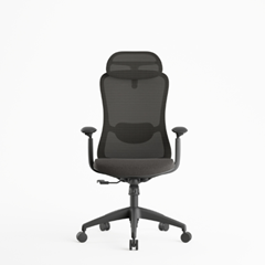 Management Chair with Multitilt Mechanism