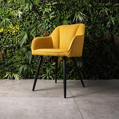 Dining Chair Yellow  W56xd60xh83cm